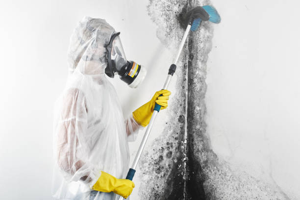 Best Crawl Space Mold Remediation  in Rio Verde, AZ