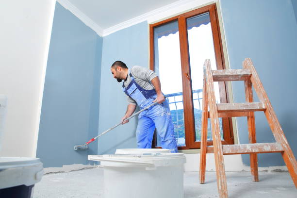 Best Mold Documentation for Insurance Claims  in Rio Verde, AZ
