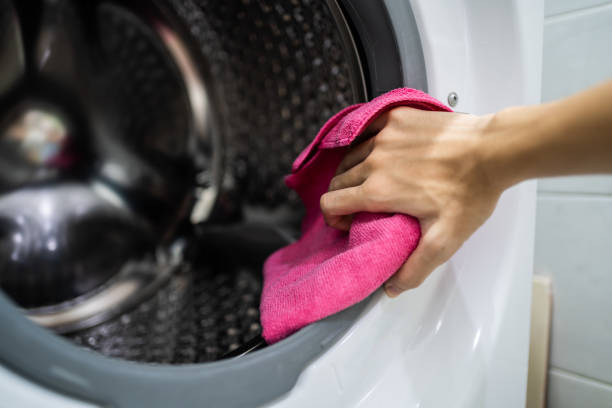 Mold Odor Removal Services in Rio Verde, AZ