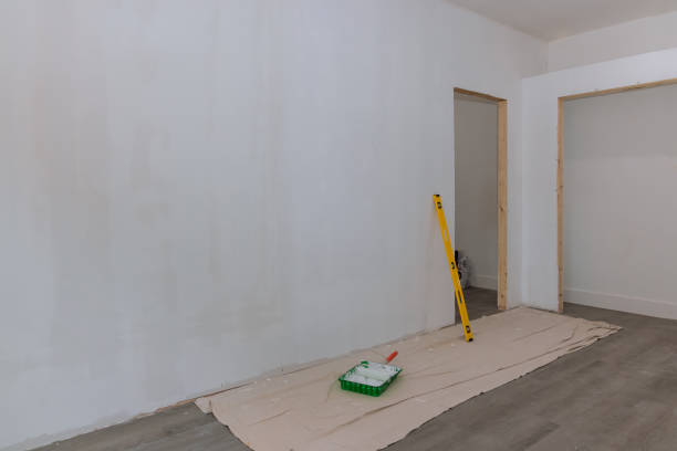 Best Mold-Related Health Consultation  in Rio Verde, AZ