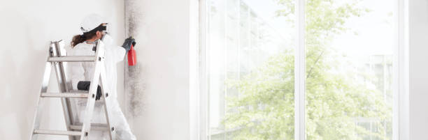 Best Indoor Air Quality Assessment  in Rio Verde, AZ